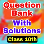 class 10 important questions android application logo